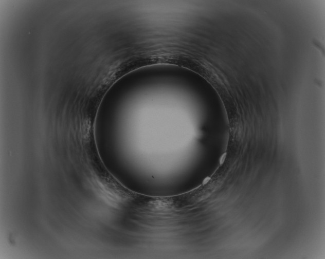 X0000093130660200709261349