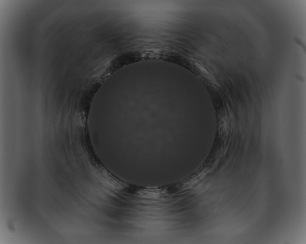 X0000093130661200709261349
