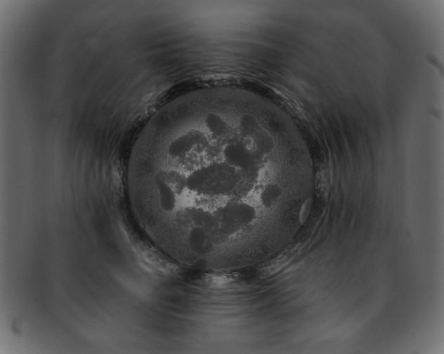 X0000093130662200709261349