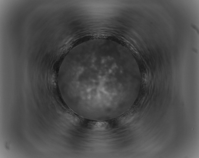 X0000093130663200709261349