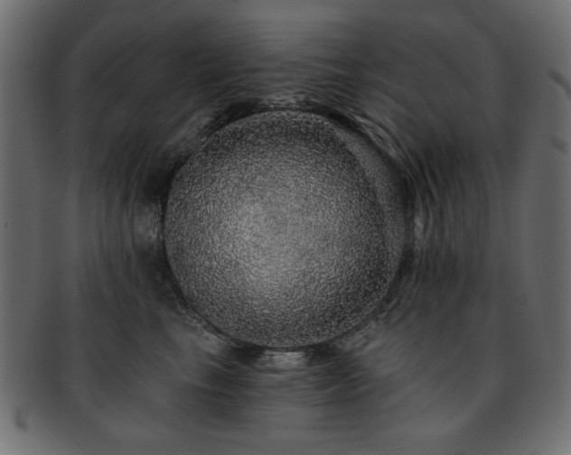 X0000093130665200709261349