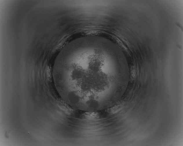 X0000093130667200709261349