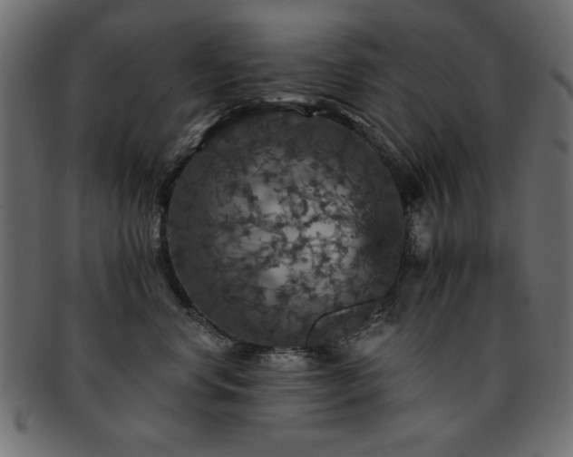 X0000093130668200709261349