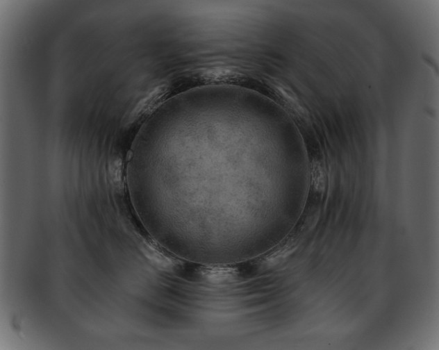 X0000093130670200709261349