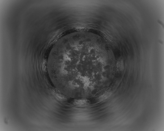 X0000093130671200709261349