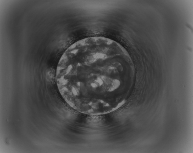 X0000093130672200709261349