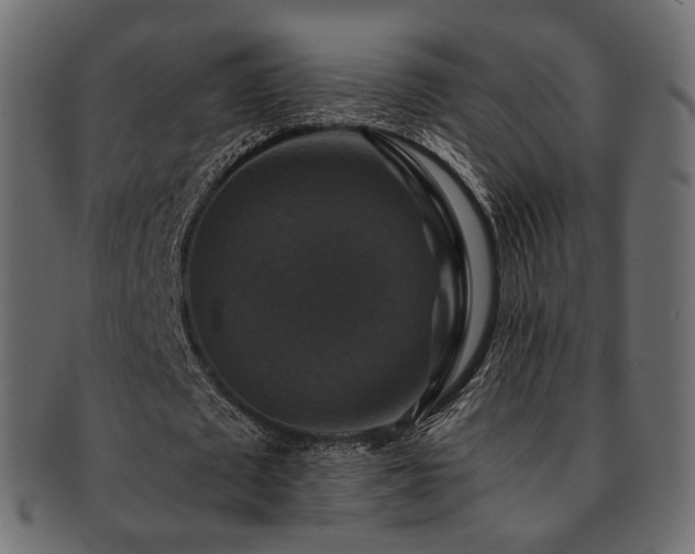 X0000093130673200709261349