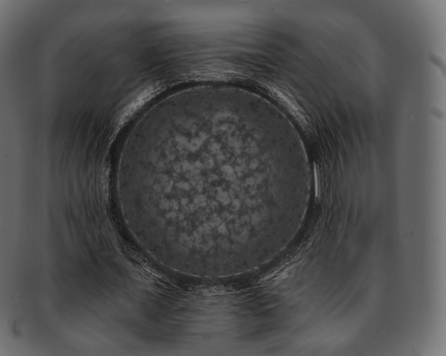 X0000093130675200709261348