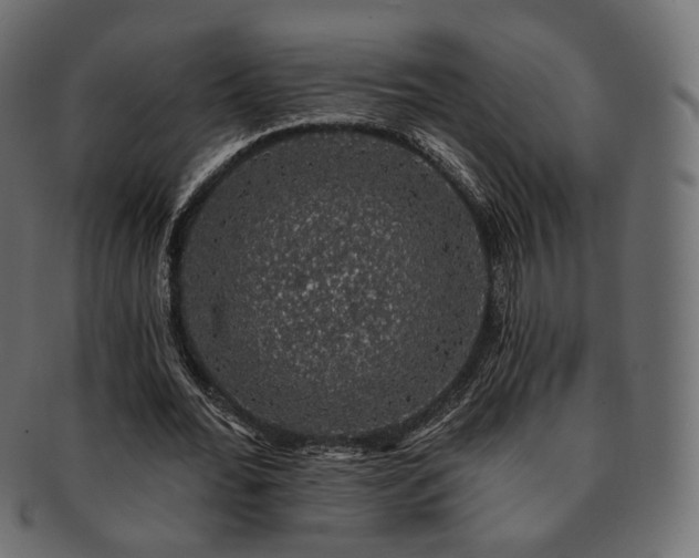 X0000093130676200709261348