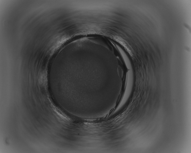 X0000093130677200709261348