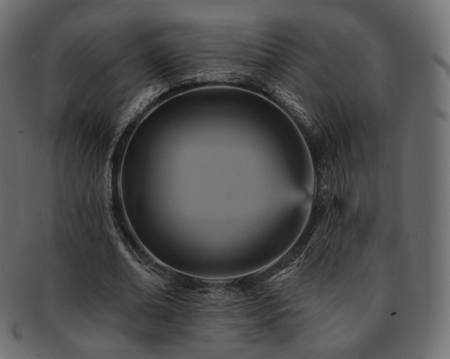 X0000093130678200709261348
