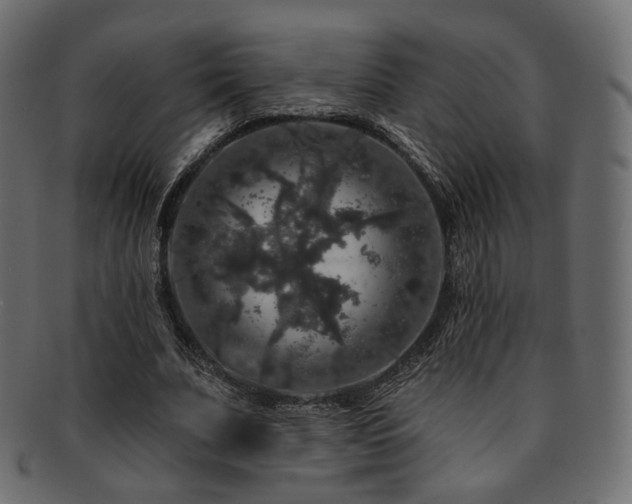 X0000093130679200709261348