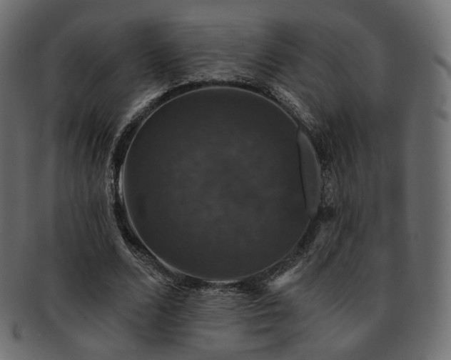 X0000093130680200709261348