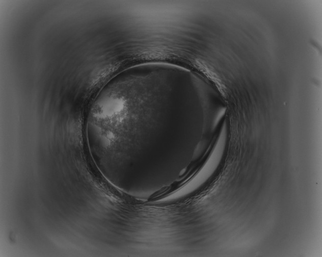 X0000093130681200709261348