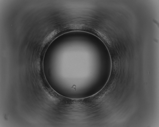 X0000093130682200709261348