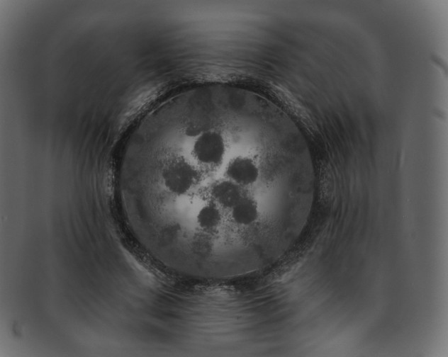 X0000093130683200709261348