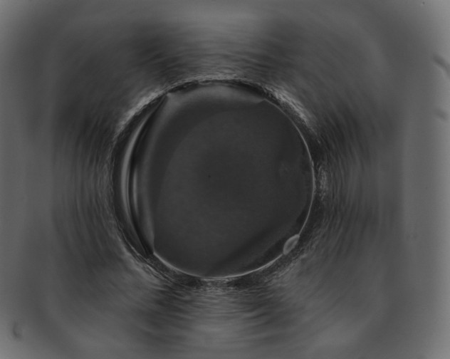 X0000093130684200709261348