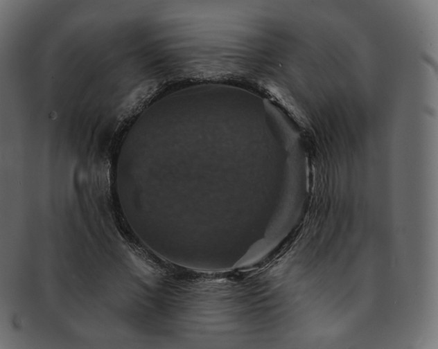X0000093130685200709261348