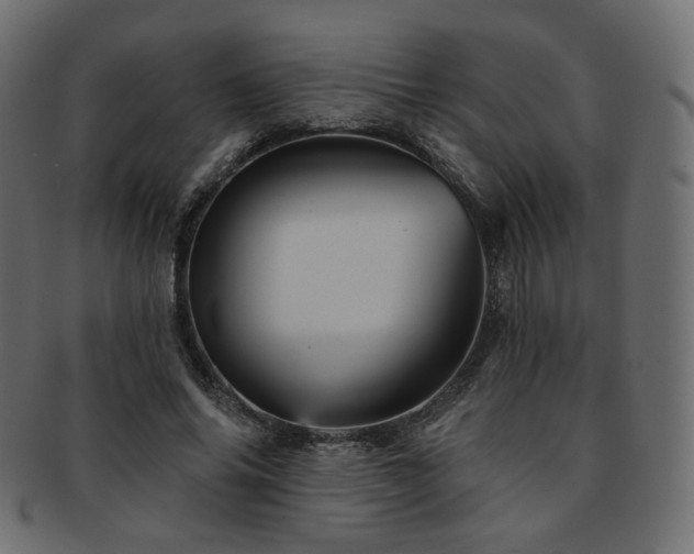 X0000093130686200709261348