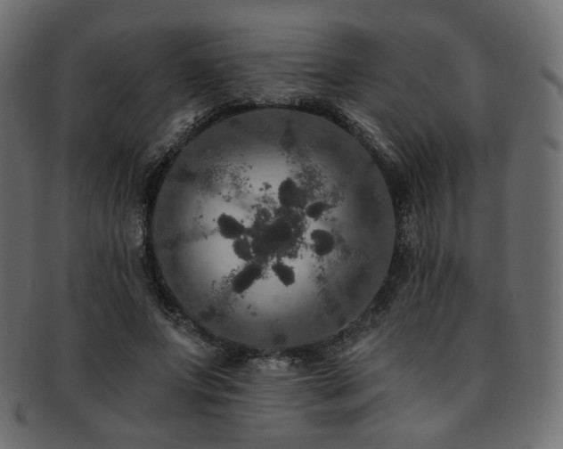 X0000093130687200709261348