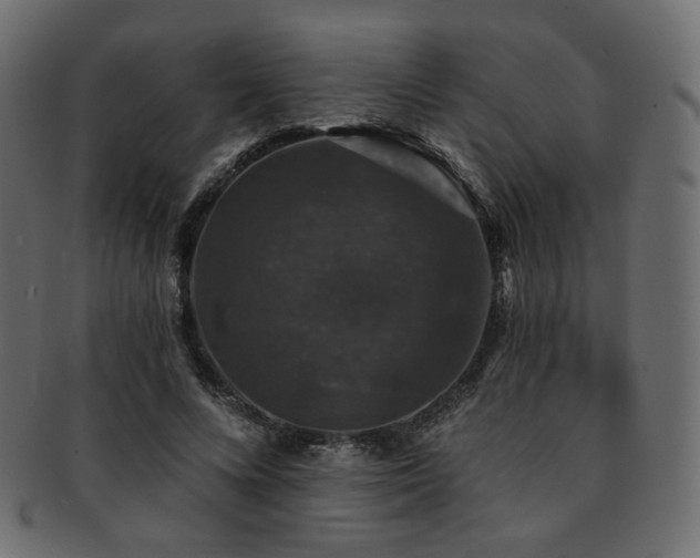 X0000093130688200709261348