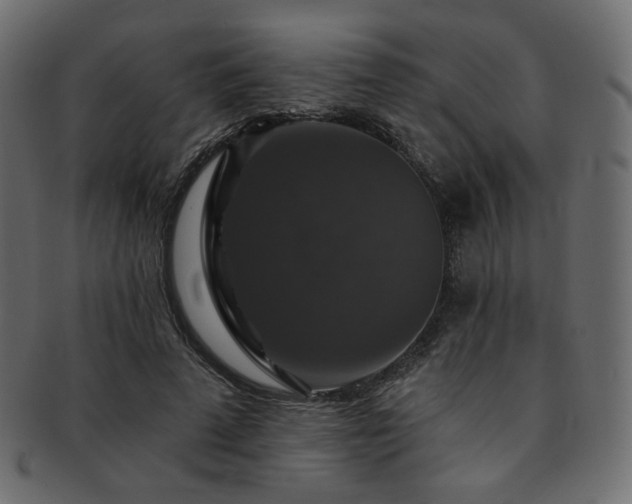 X0000093130689200709261348