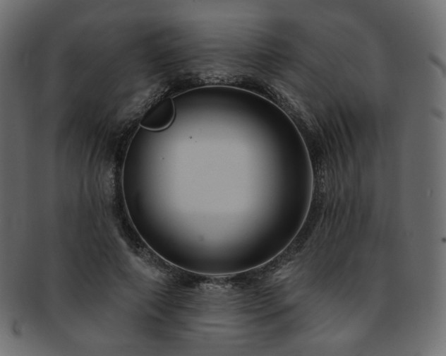 X0000093130690200709261348