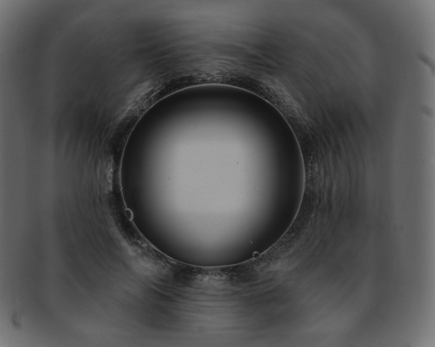 X0000093130694200709261348