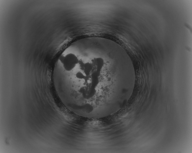 X0000093130695200709261348