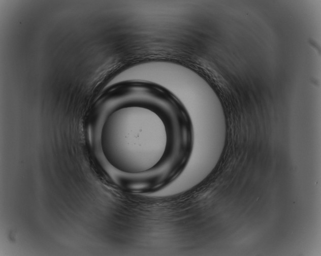 X0000093130696200709261348