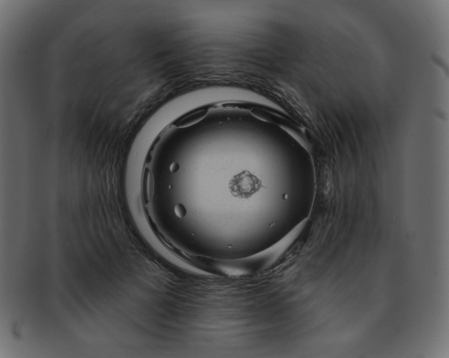 X0000093130697200709261348