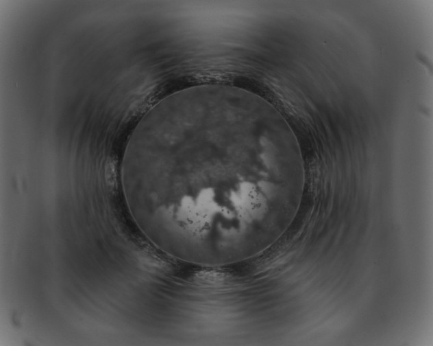 X0000093130699200709261348