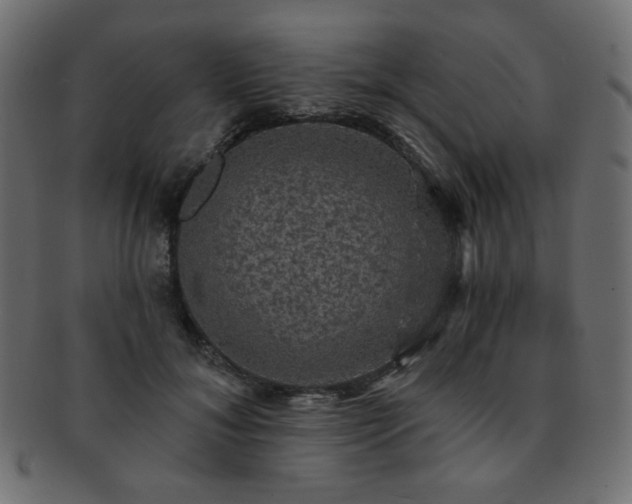 X0000093130700200709261348
