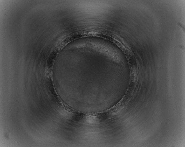 X0000093130701200709261348