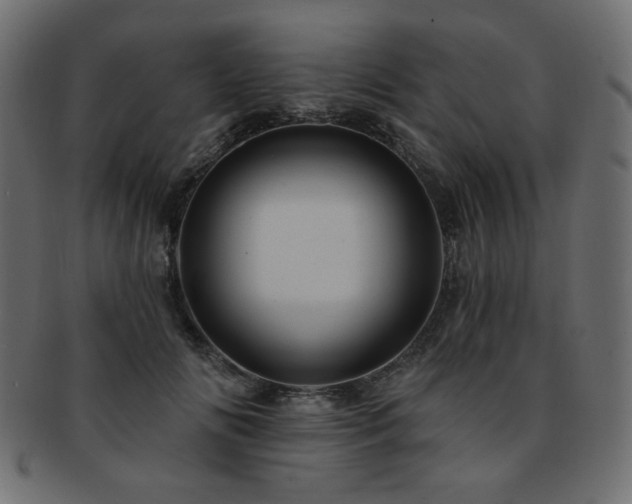 X0000093130702200709261348