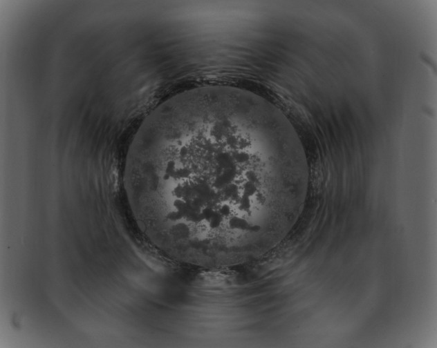 X0000093130703200709261348