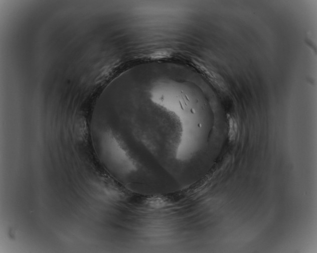 X0000093130704200709261348