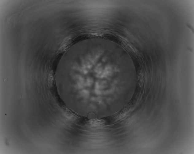 X0000093130707200709261348