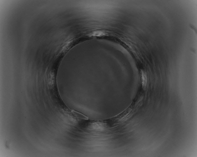 X0000093130708200709261348