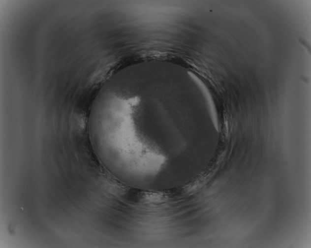 X0000093130709200709261348