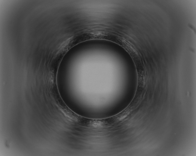 X0000093130710200709261348