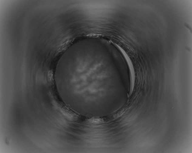 X0000093130711200709261348