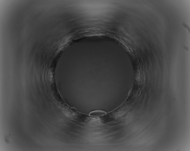 X0000093130715200709261348