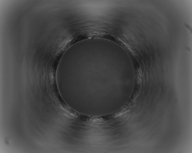 X0000093130716200709261348