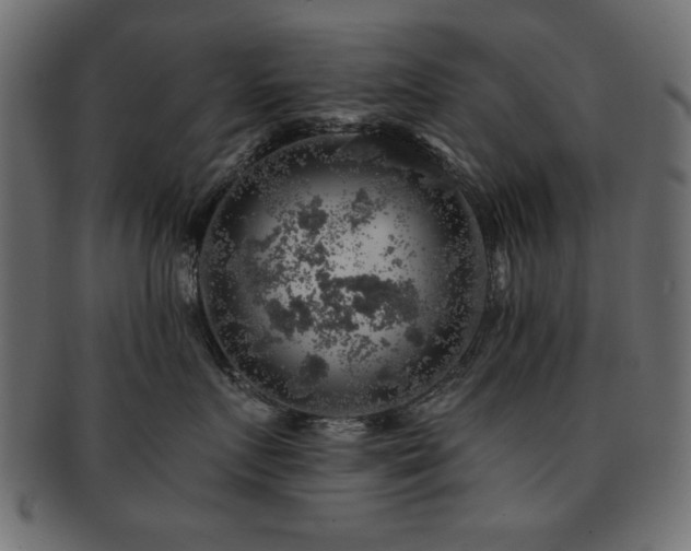 X0000093130719200709261348