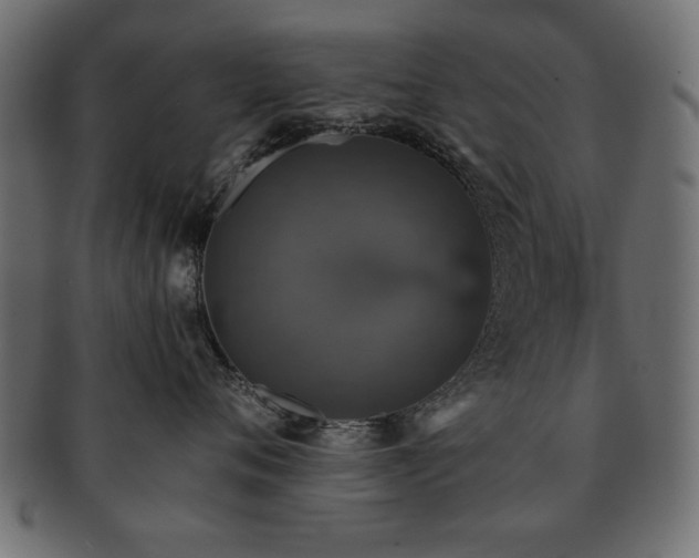 X0000093130720200709261348