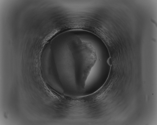 X0000093130721200709261347
