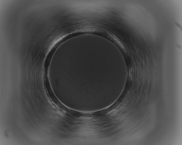 X0000093130724200709261347