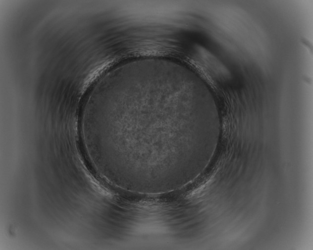X0000093130725200709261347