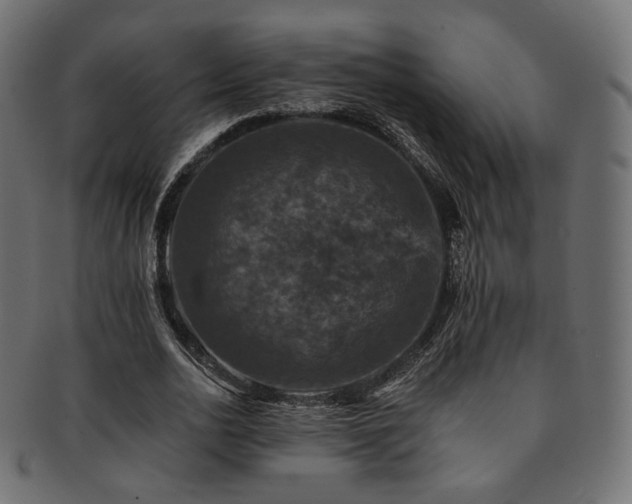 X0000093130726200709261347